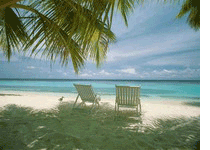 Новости уходят в отпуск